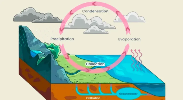 Groundwater hydrology