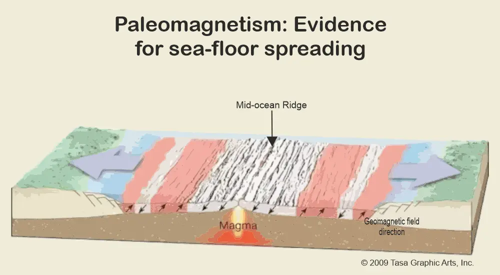 Palaeomagnetism