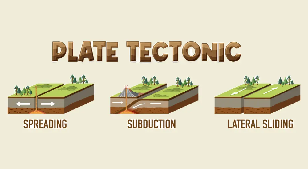 Plate Tectonic Theory Important Mcq 8234