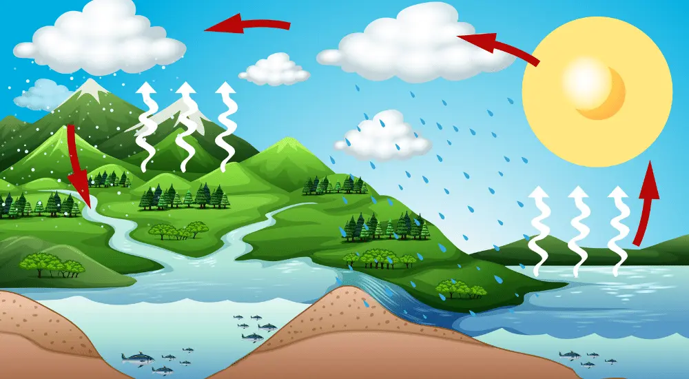 Hydrological cycle